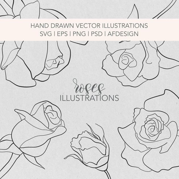 Vector Fine Line Editable Roses SVG Drawings | 5 Individual Files SVG ...
