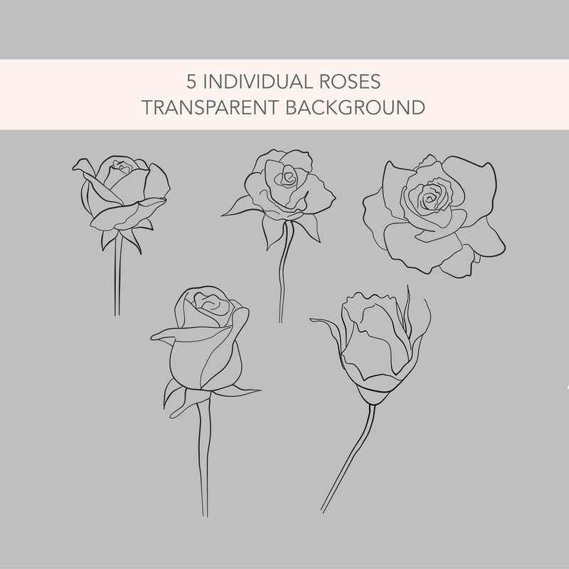 Vector Fine Line Editable Roses SVG Drawings | 5 Individual Files SVG | Transparent Background | Wedding Stationery Illustration |